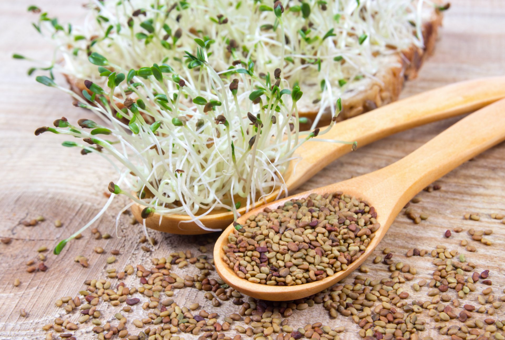 Les graines germées : de nombreux bienfaits pour votre santé ! 